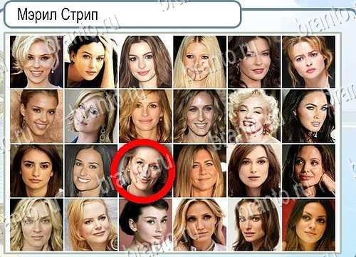 Горячо-Холодно игра ответы в одноклассниках Уровень 3997 Многоцветный лорикет