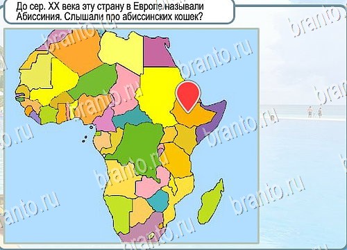 игра Горячо-Холодно помощь Уровень 4009
