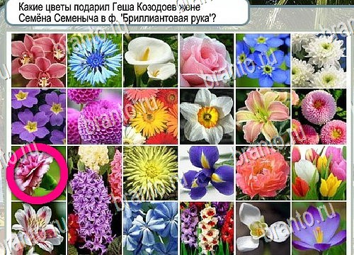 Подсказки Горячо-Холодно Уровень 4022