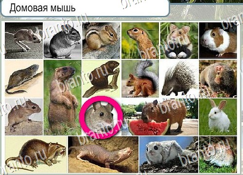 ответы к игре Горячо-Холодно Уровень 4025 Московский Кремль