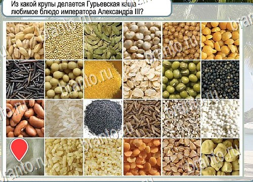 Горячо-Холодно игра ответы в одноклассниках Уровень 4027 Многоцветный лорикет