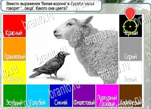 Решения на игру Горячо-Холодно Уровень 4053 автор Мёртвые души фото