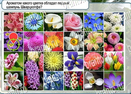 Горячо-Холодно подсказки Уровень 4059