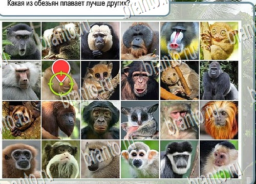 Горячо-Холодно ответы в картинках Уровень 4066 Черногория