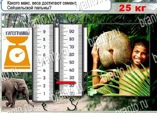 Горячо-Холодно решения Уровень 4072 Урал-4320-0111-41