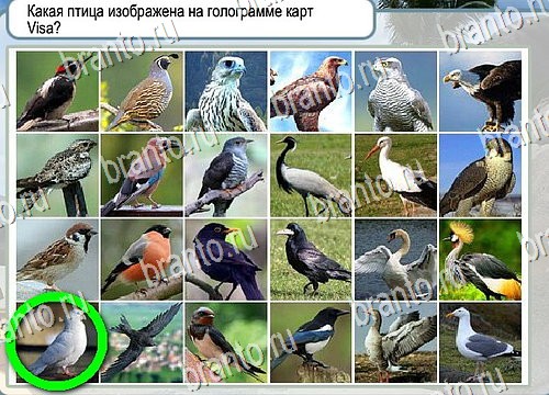 Горячо-Холодно ответы Уровень 4088 шляпа Клош