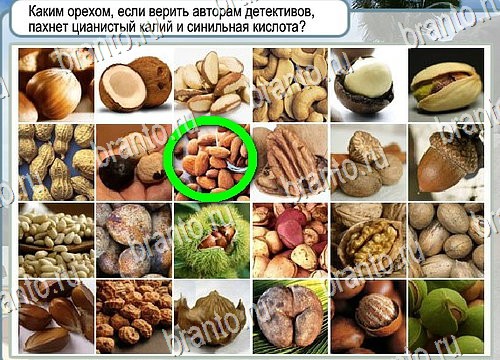 Игра Горячо-Холодно подсказки Уровень 4098 рыба лещ