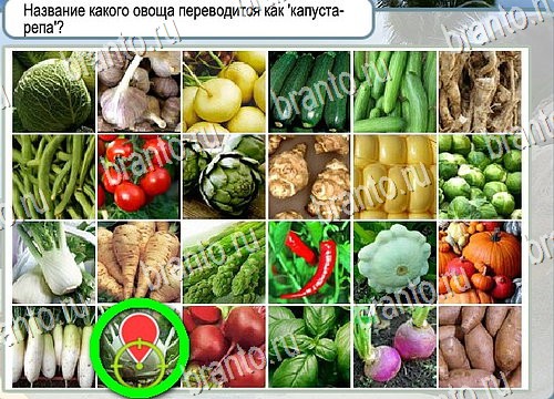 решебник на игру Горячо-Холодно Уровень 4101