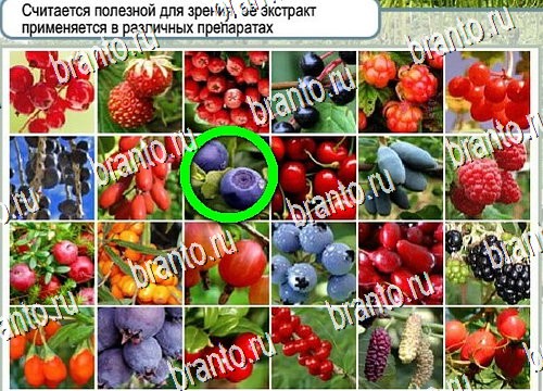 Подсказки Горячо-Холодно Уровень 4112