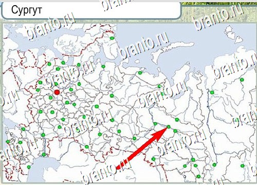 Игра Горячо-Холодно ответы Уровень 4137