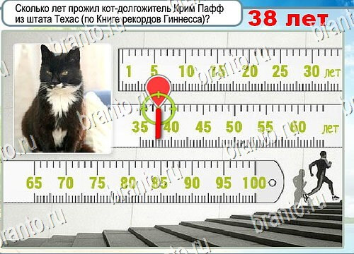 Горячо-Холодно ответы Уровень 4178 шляпа Клош