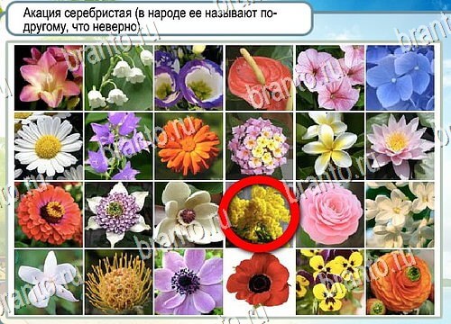 Игра Горячо-Холодно ответы Уровень 4187 бабочка Адмирал