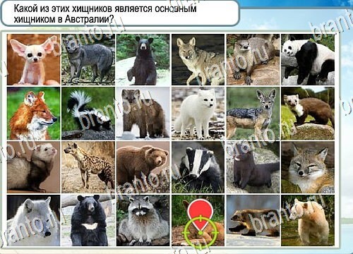 Горячо-Холодно игра ответы Уровень 4193 гладить при 150