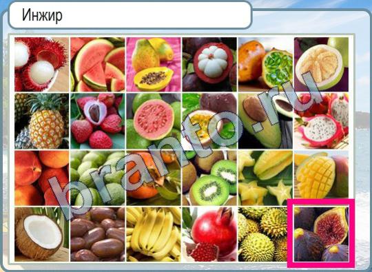 Горячо-Холодно ответы Уровень 428 инжир фото