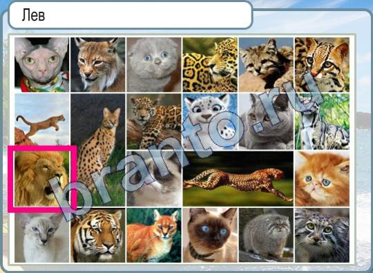 решебник на игру Горячо-Холодно Уровень 441 фотография льва