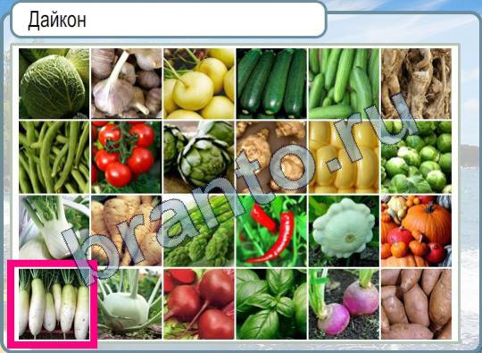 игра Горячо-Холодно помощь Уровень 449 дайкон фото