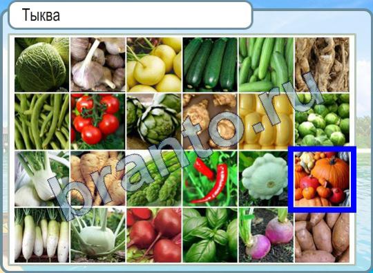 решебник на игру Горячо-Холодно Уровень 471 тыква на фото