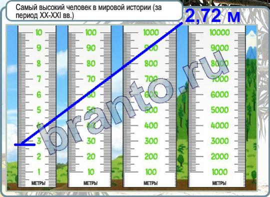 Игра Горячо-Холодно подсказки Уровень 568 Рост самого высокого человека