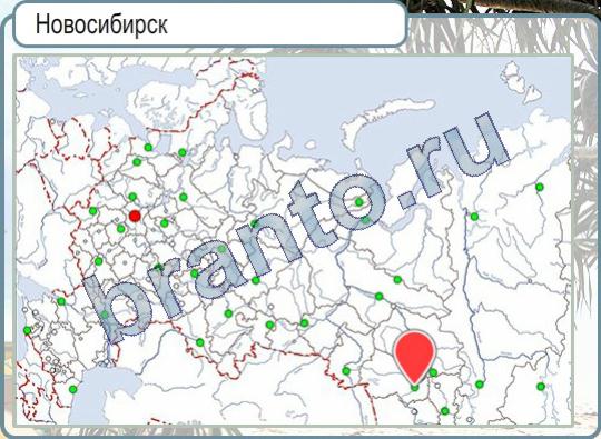 игра Горячо-Холодно помощь Уровень 569 Новосибирск на карте