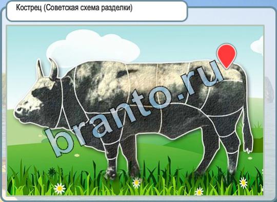 ответы к игре Горячо-Холодно Уровень 695 кострец у коровы на фото
