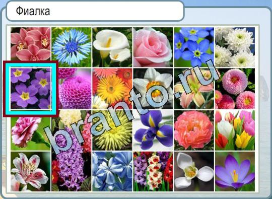 Игра Горячо-Холодно подсказки Уровень 708 фиалка
