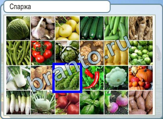 Горячо-Холодно решения Уровень 712 спаржа