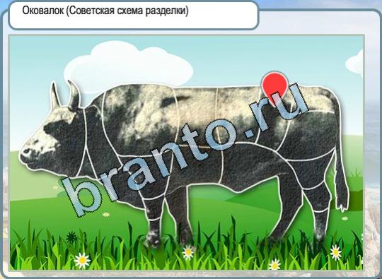 Решения на игру Горячо-Холодно Уровень 723 круглая мышца спины правая