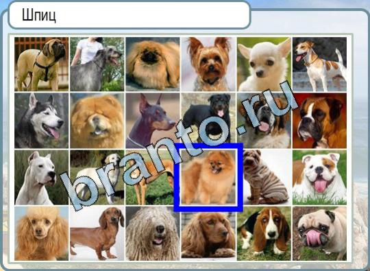 Помощь на игру Горячо-Холодно Уровень 724