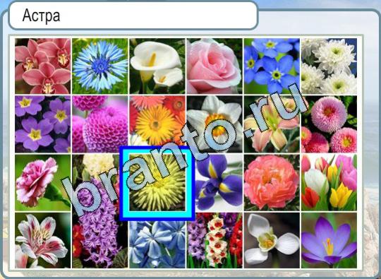 Горячо-Холодно игра помощь Уровень 735 кто скрывается за шахматами