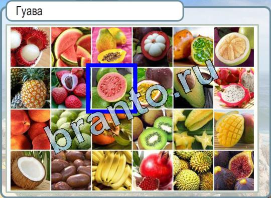 Игра Горячо-Холодно ответы Уровень 747