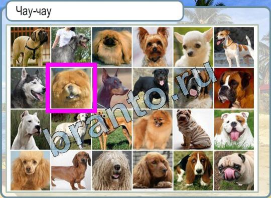 Горячо-Холодно игра ответы в одноклассниках Уровень 757