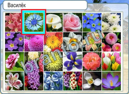решебник на игру Горячо-Холодно Уровень 761