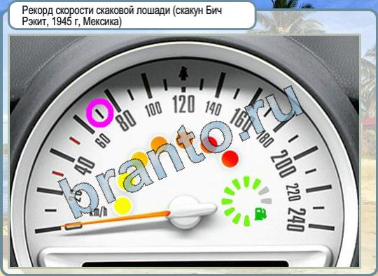 Игра Горячо-Холодно подсказки Уровень 768 флаг Ирландии