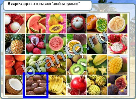 Горячо-Холодно игра ответы Уровень 773 хлеб пустыни