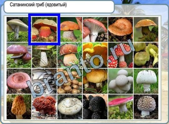 игра Горячо-Холодно помощь Уровень 779 сатанинский гриб