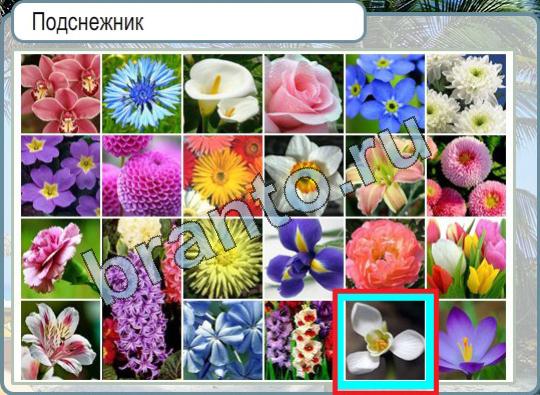 Горячо-Холодно ответы в картинках Уровень 796