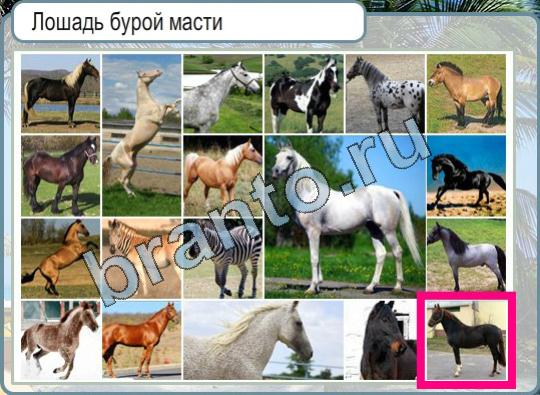 игра Горячо-Холодно помощь Уровень 799