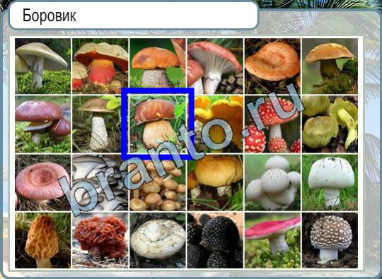 Игра Горячо-Холодно ответы Уровень 807 боровик