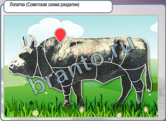 Решения на игру Горячо-Холодно Уровень 813 корова лопатка