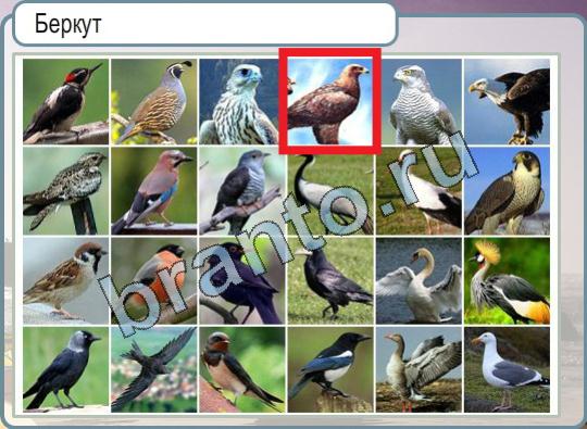 Помощь на игру Горячо-Холодно Уровень 814