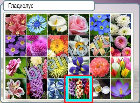 решебник на игру Горячо-Холодно Уровень 821