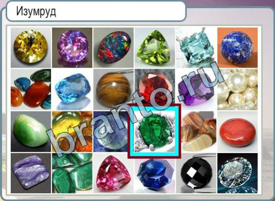 Горячо-Холодно игра подсказки Уровень 824 балийская кошка