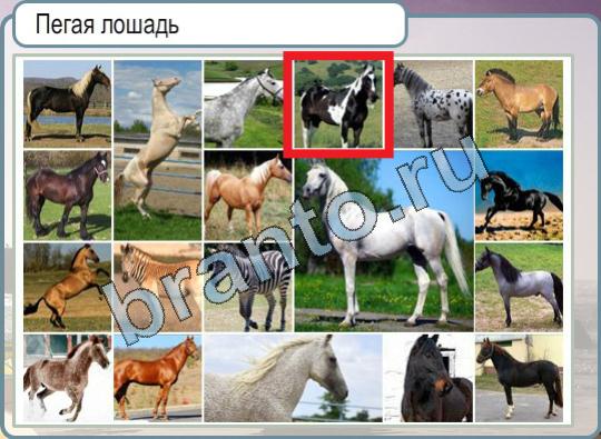 Игра Горячо-Холодно подсказки Уровень 828 флаг Ирландии