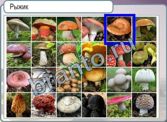 Горячо-Холодно игра ответы Уровень 833