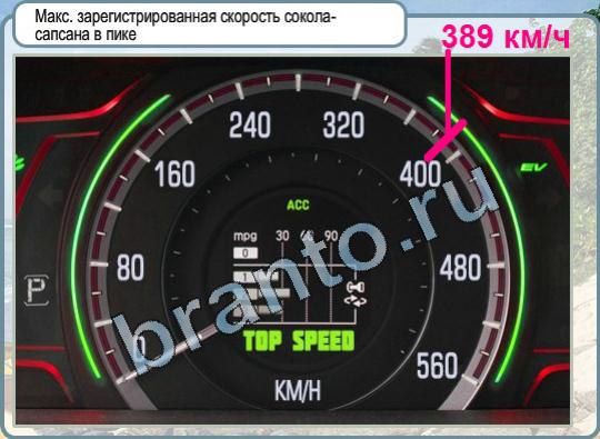 ответы на игру Горячо-Холодно Уровень 841 скорость сокола-сапсана в пике