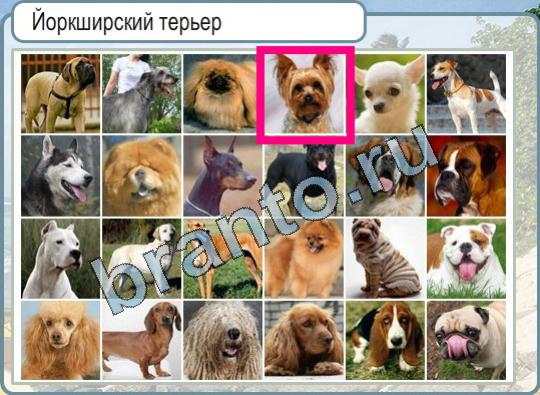 Подсказки Горячо-Холодно Уровень 842 Мальдивская республика