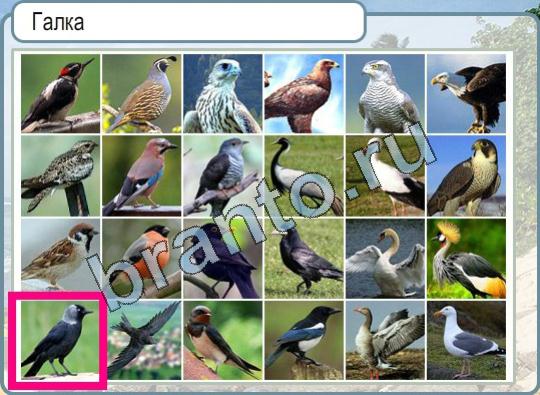 Горячо-Холодно игра ответы в одноклассниках Уровень 847