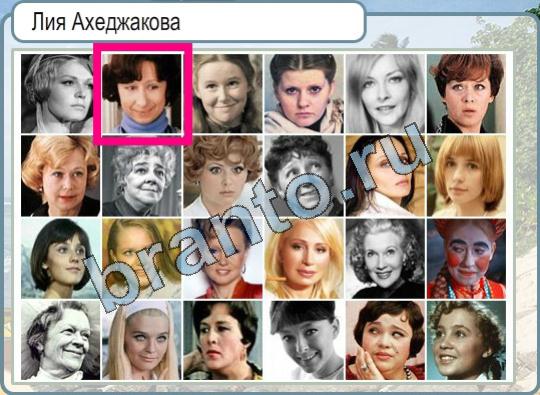 Горячо-Холодно игра подсказки Уровень 854 балийская кошка