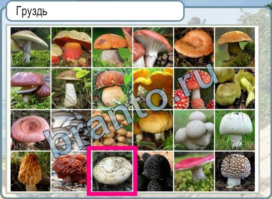 Игра Горячо-Холодно подсказки Уровень 868