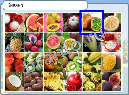 Горячо-Холодно решения Уровень 882 кивано
